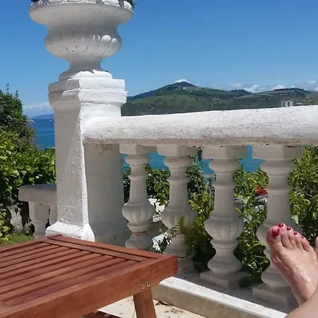 Potxita
